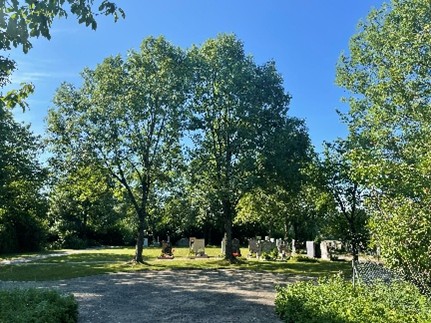 Friedhof Großinzemoos